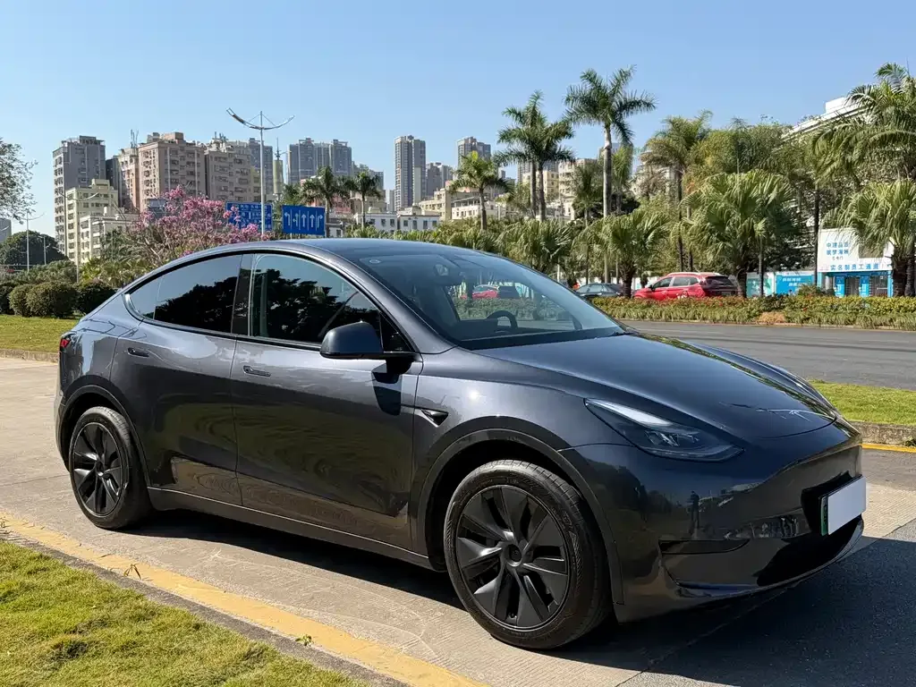 Tesla Model Y 2025 из CN, фото 5