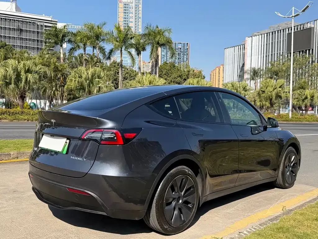 Tesla Model Y 2025 из CN, фото 6