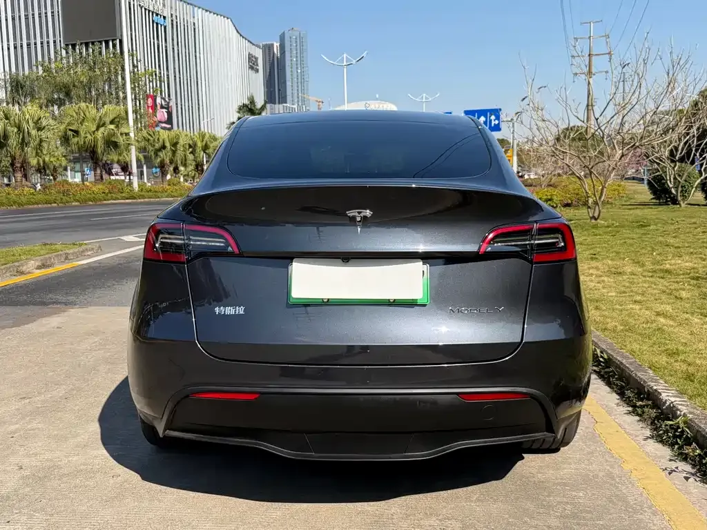 Tesla Model Y 2025 из CN, фото 4