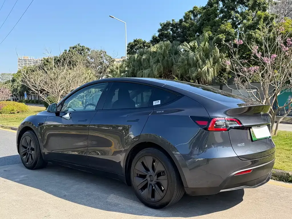 Tesla Model Y 2025 из CN, фото 7