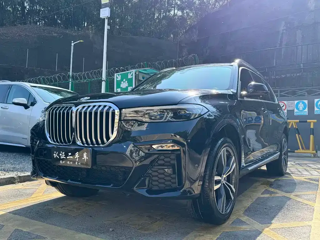 BMW X7 — фото 1