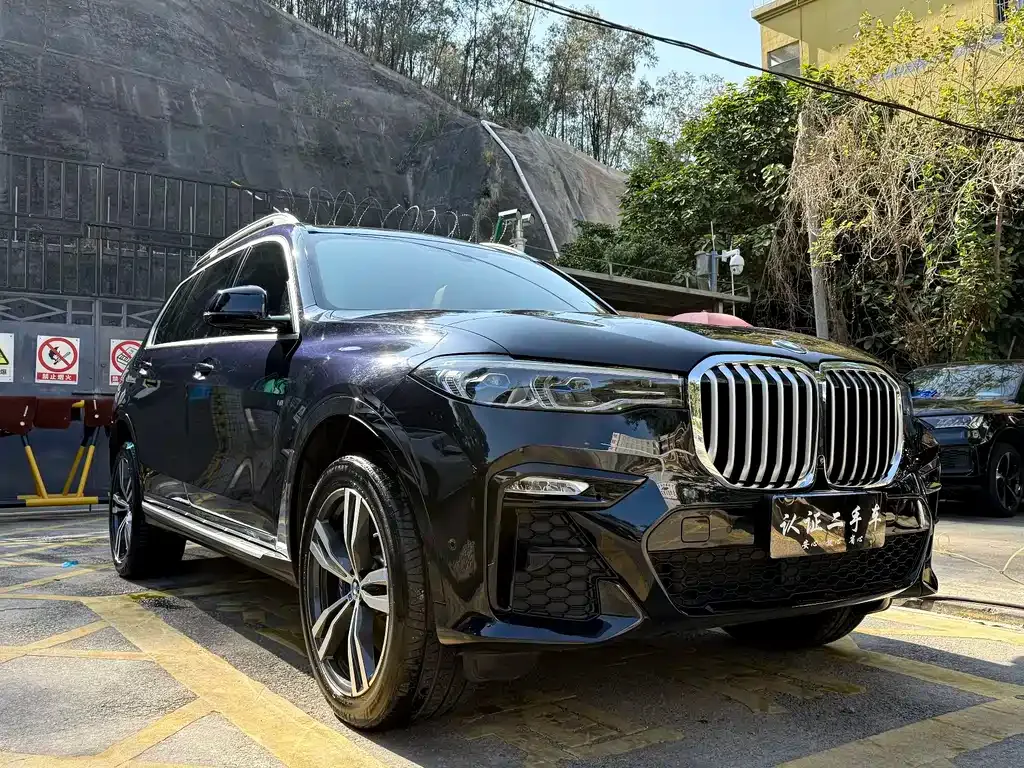 BMW X7 — фото 7