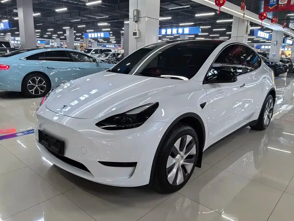 Tesla Model Y — фото 1