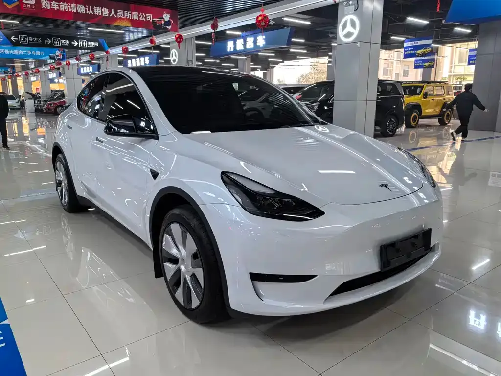Tesla Model Y — фото 9