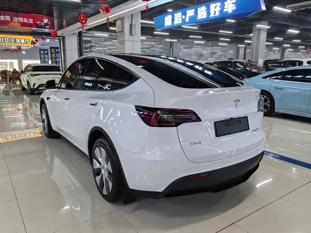 Tesla Model Y — фото 8