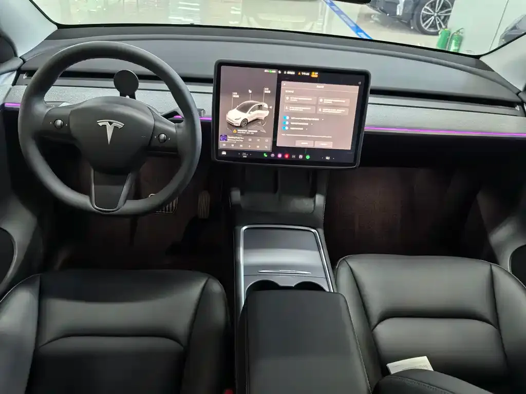 Tesla Model Y — фото 10