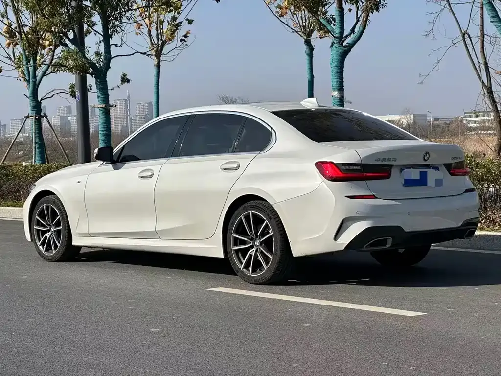 BMW 3 Series 2021 из CN, фото 9
