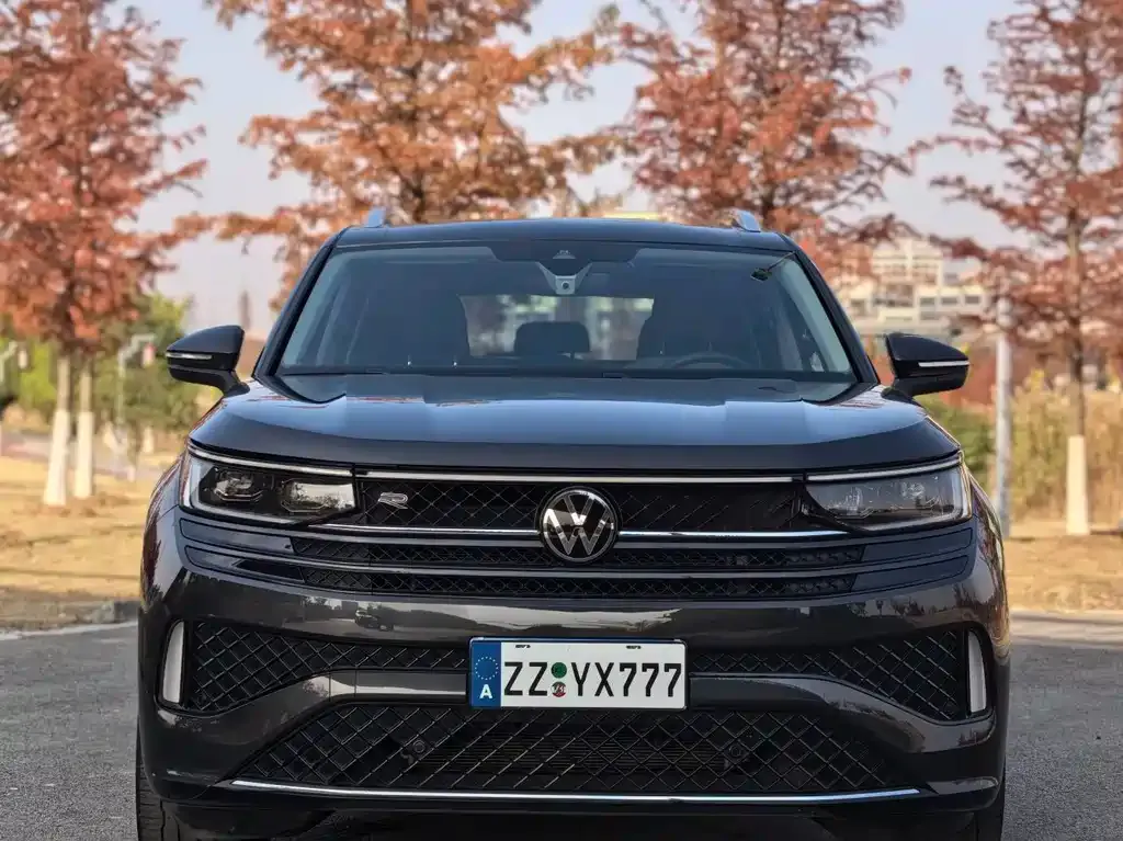 Volkswagen Tavendor 2023 из CN, фото 7
