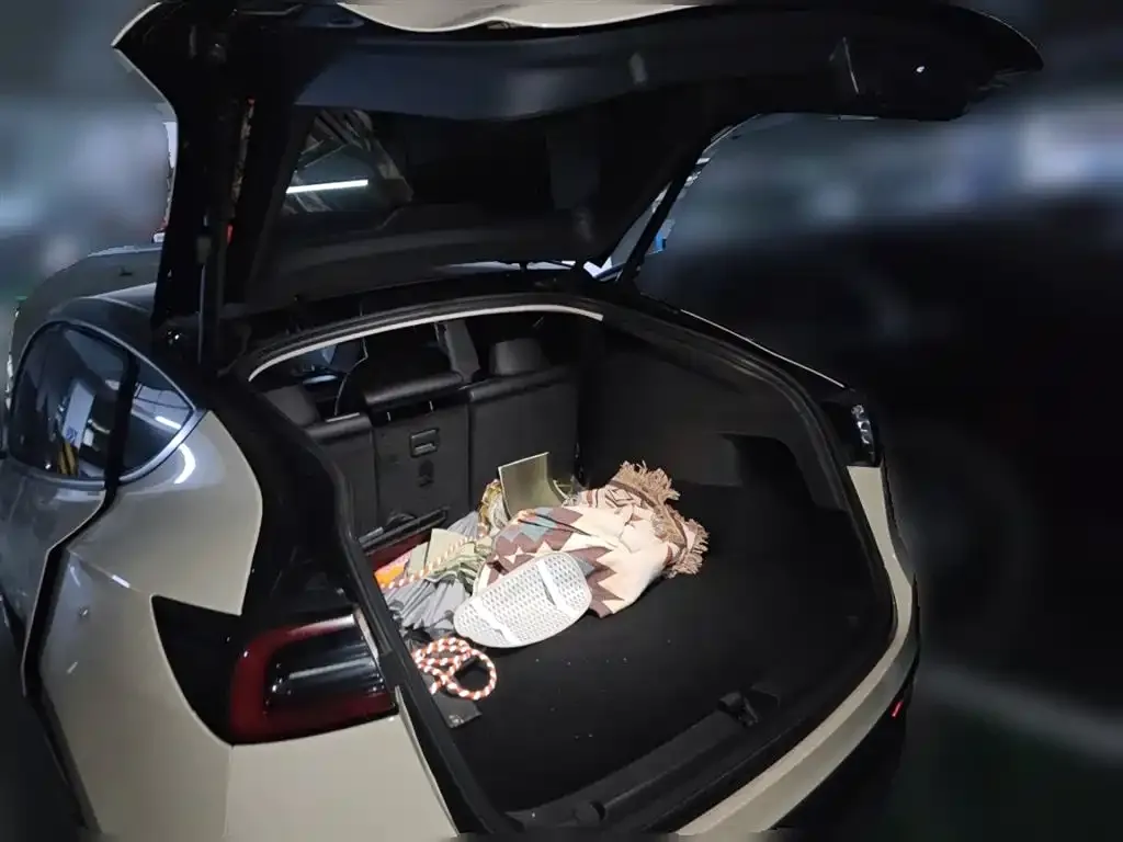 Tesla Model Y 2022 из CN, фото 7