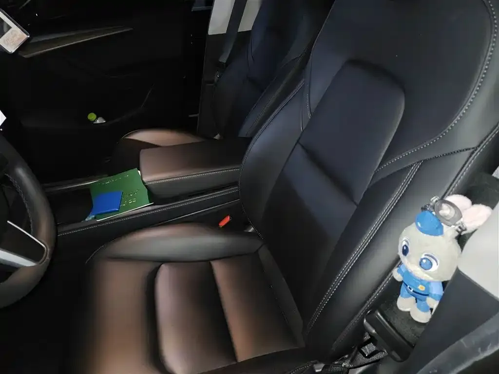 Tesla Model Y 2022 из CN, фото 4