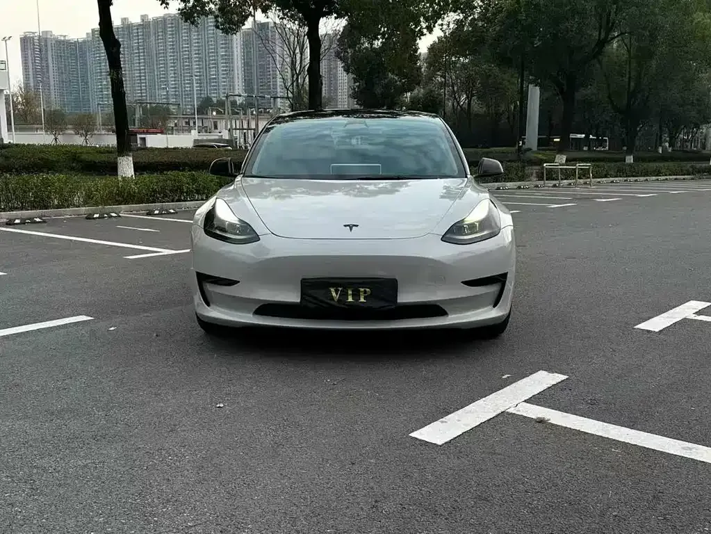Tesla Model 3 2022 из CN, фото 5