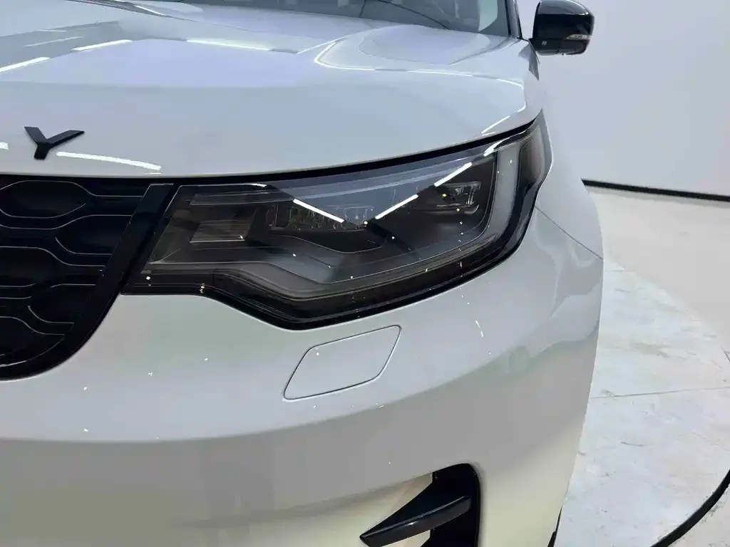 Land Rover Discovery 2022 из CN, фото 3
