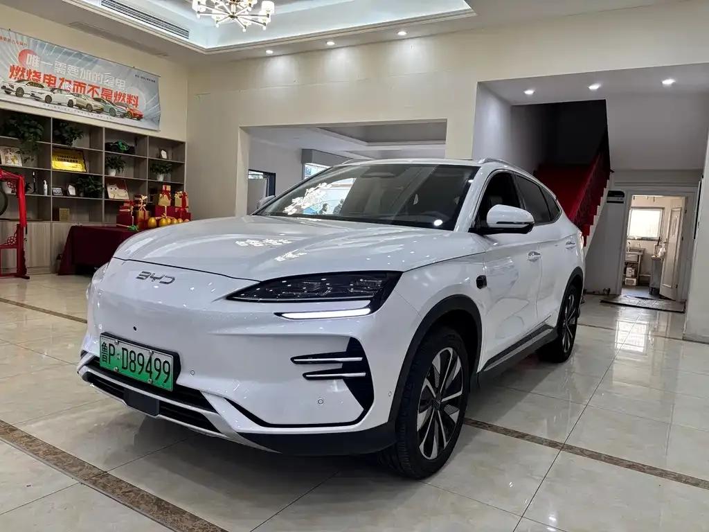 BYD PLUS New Energy 2025 из CN, фото 1