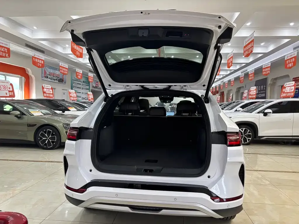 BYD PLUS New Energy 2025 из CN, фото 7