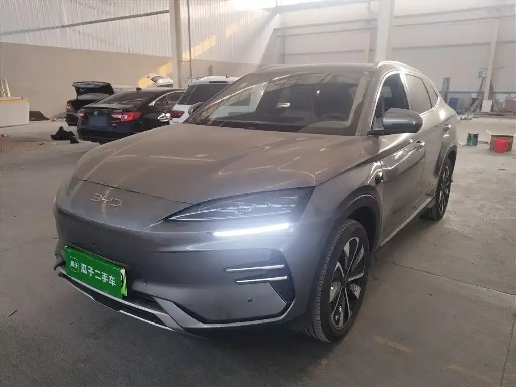 BYD PLUS New Energy 2025 из CN, фото 1