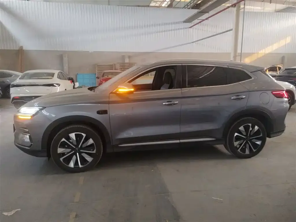 BYD PLUS New Energy 2025 из CN, фото 5