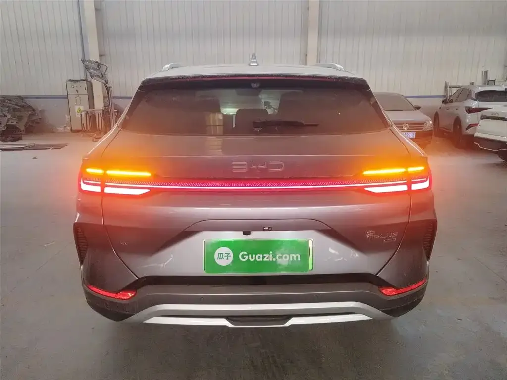 BYD PLUS New Energy 2025 из CN, фото 6
