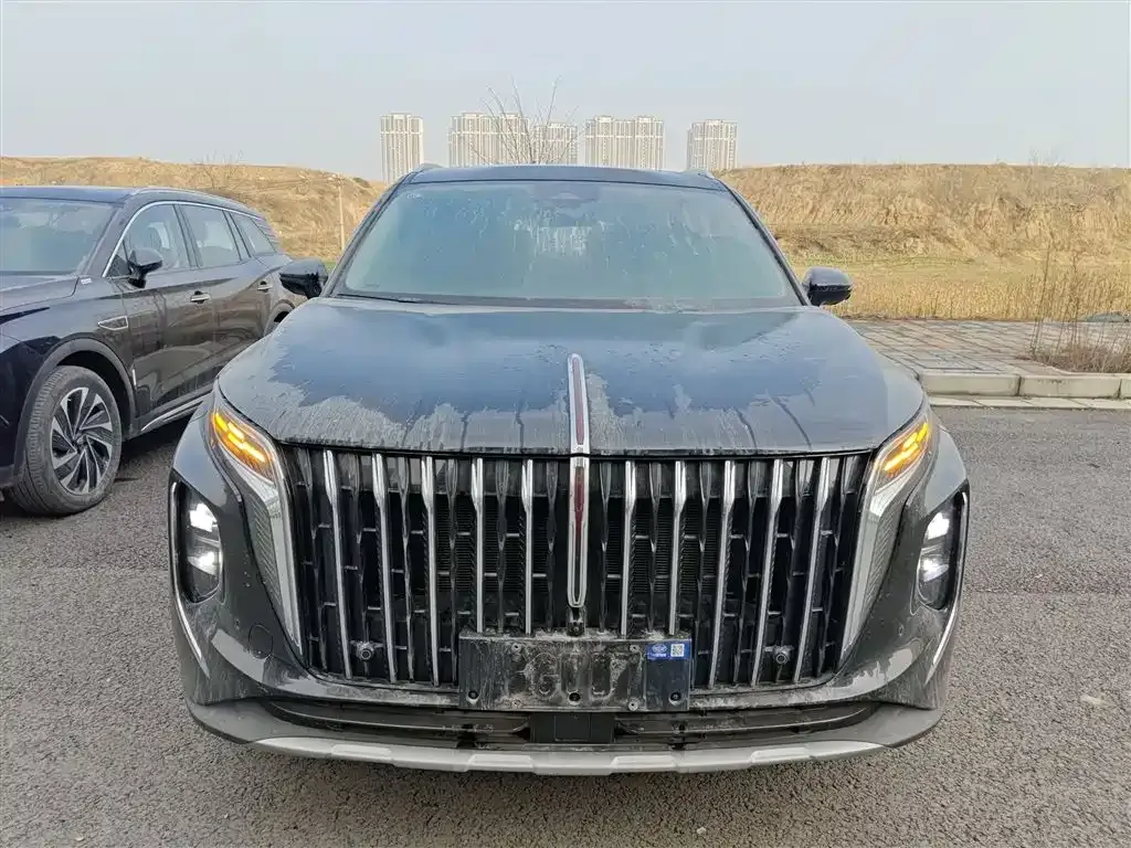 Hongqi HS7 PHEV 2025 из CN, фото 8