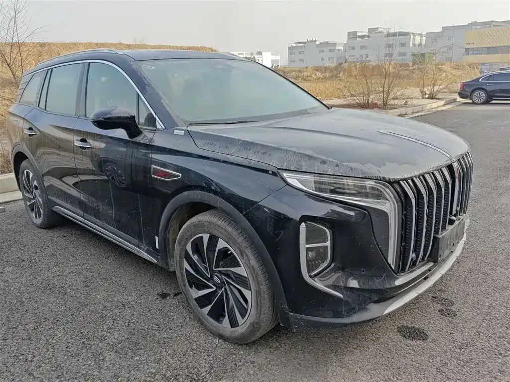 Hongqi HS7 PHEV 2025 из CN, фото 5
