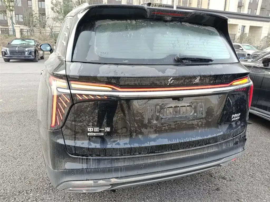 Hongqi HS7 PHEV 2025 из CN, фото 9