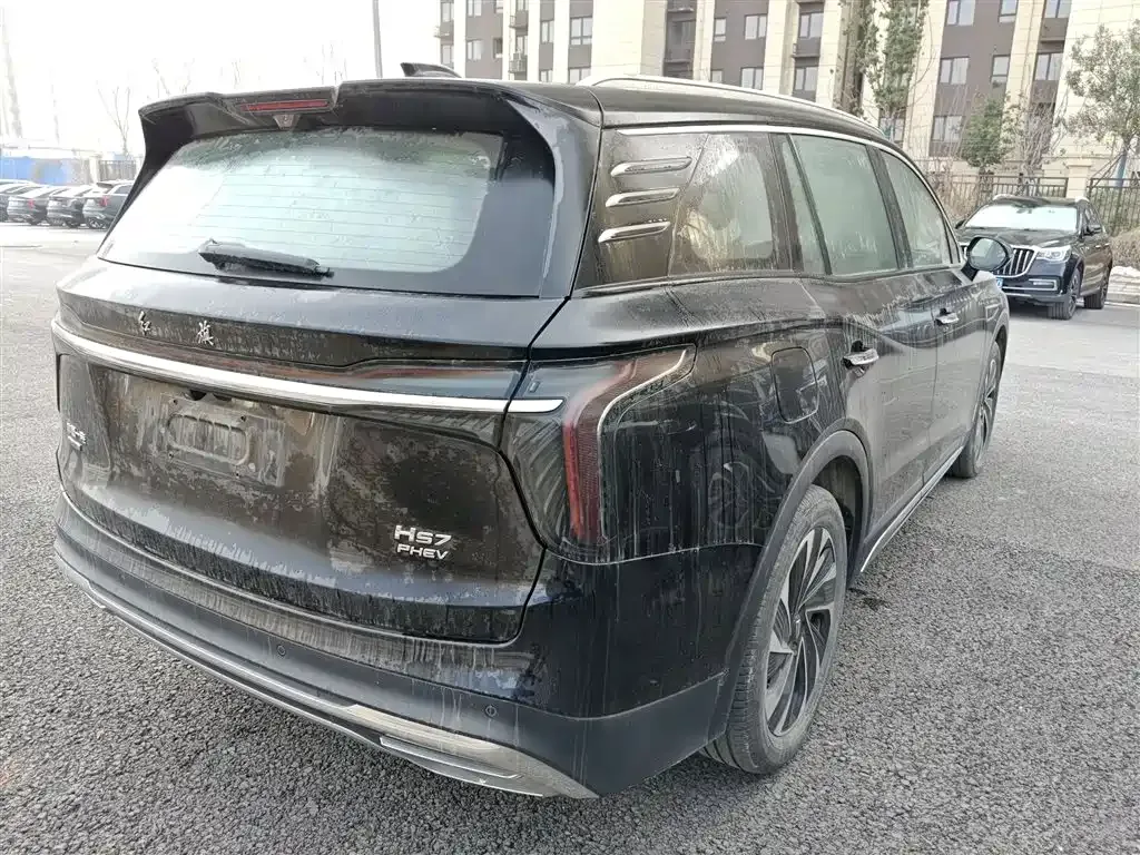 Hongqi HS7 PHEV 2025 из CN, фото 6