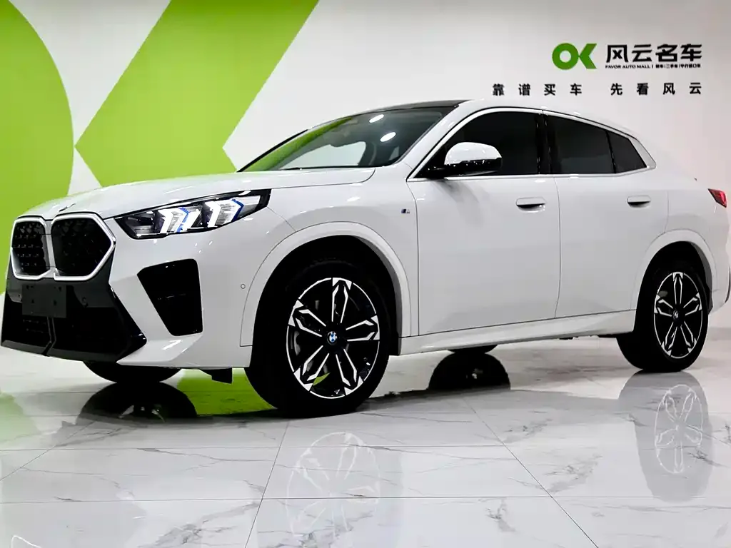 BMW X2 (Import) — фото 1
