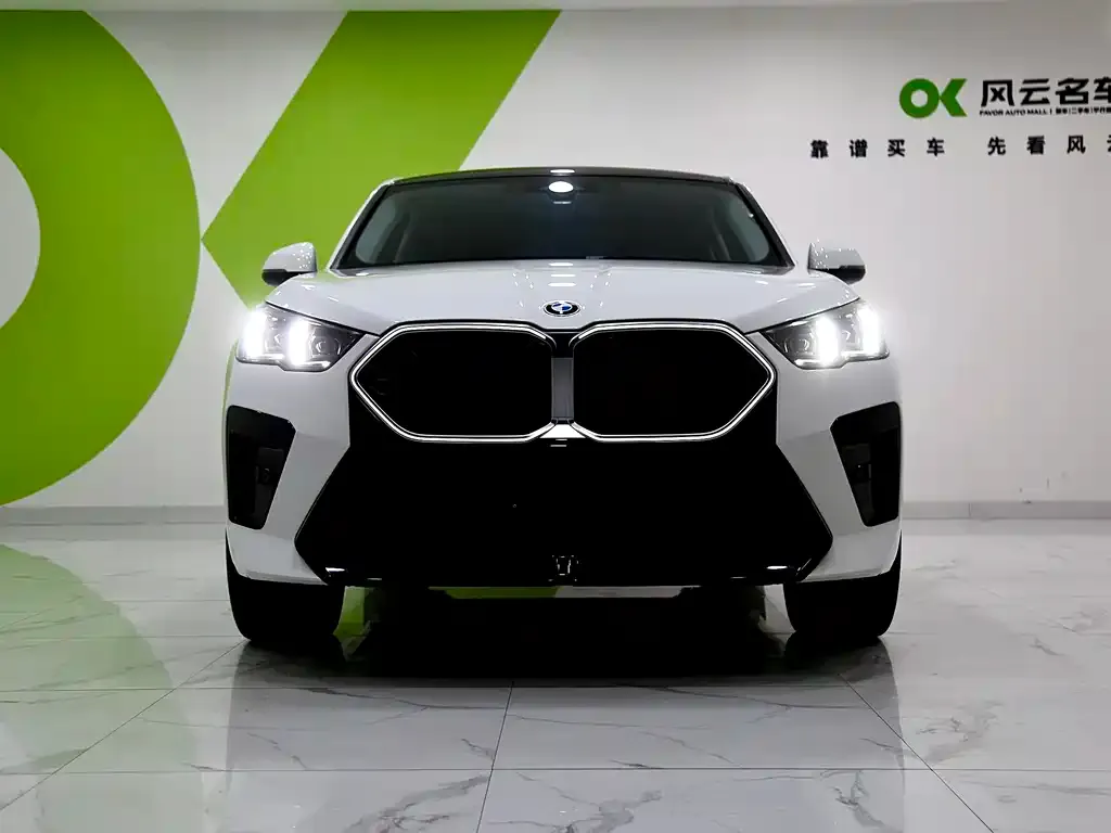 BMW X2 (Import) — фото 6