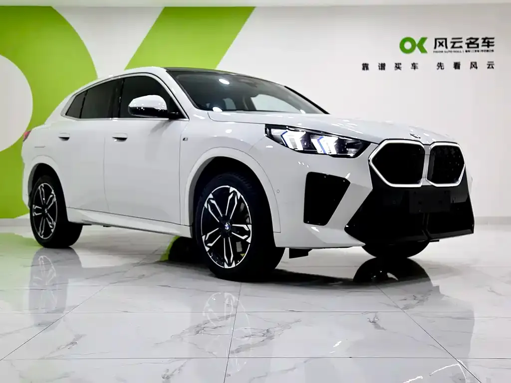 BMW X2 (Import) — фото 5