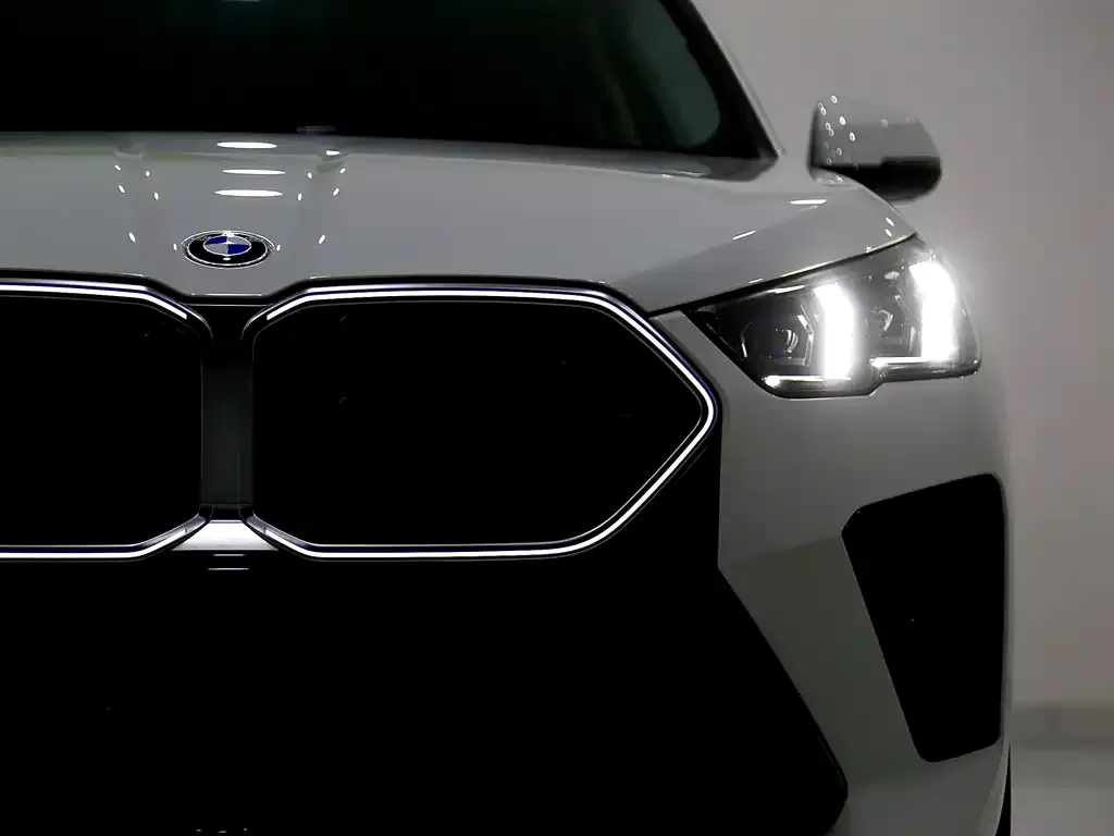 BMW X2 (Import) — фото 2