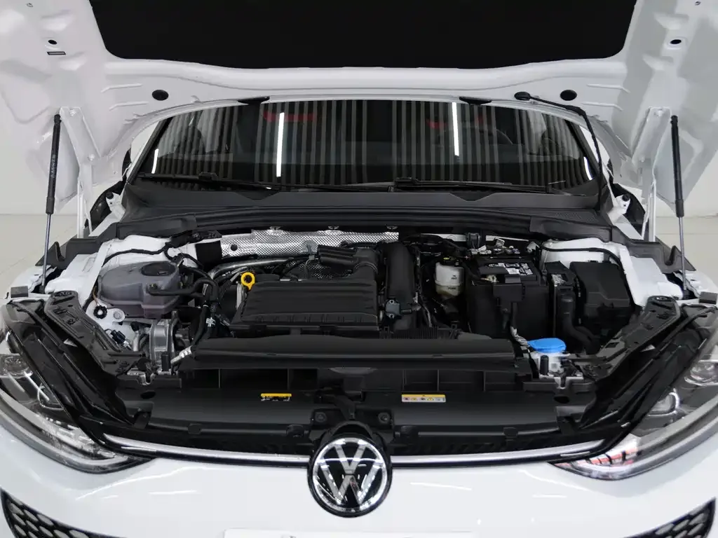 Volkswagen Lamando 2024 из CN, фото 9
