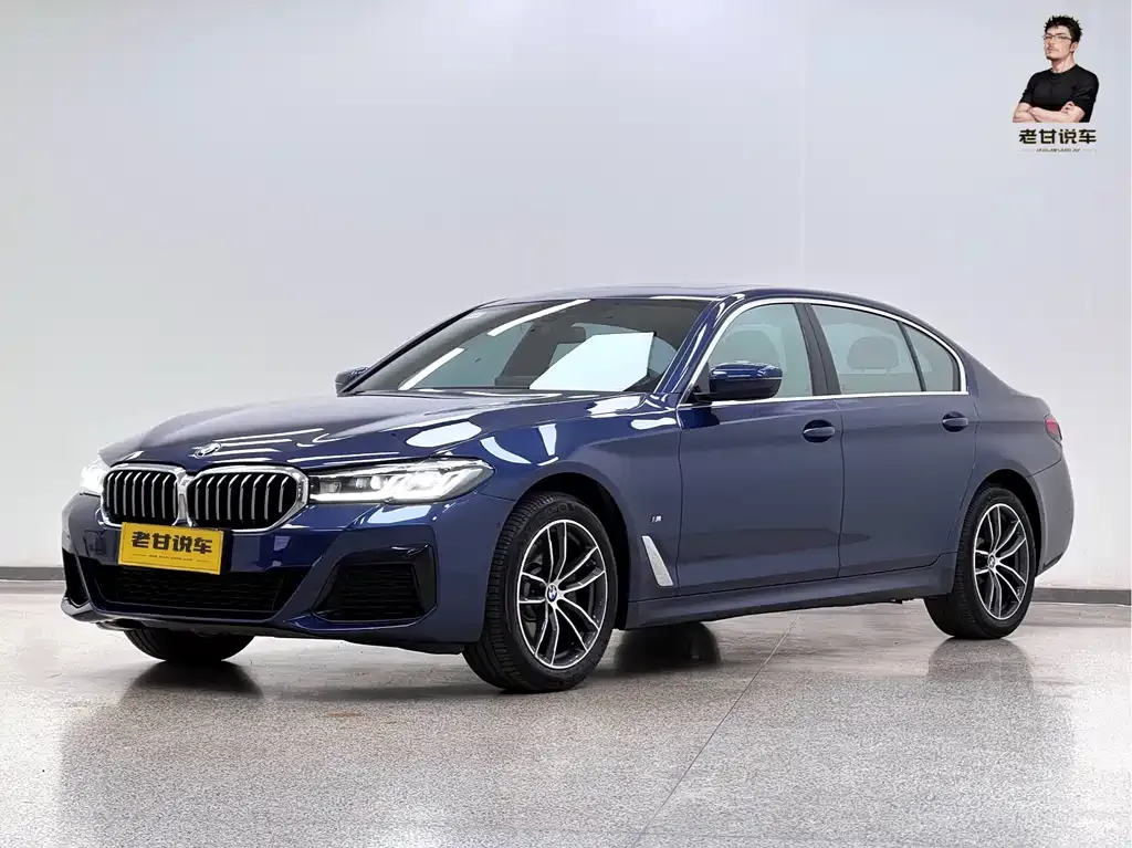 BMW 5 Series 2021 из CN, фото 1