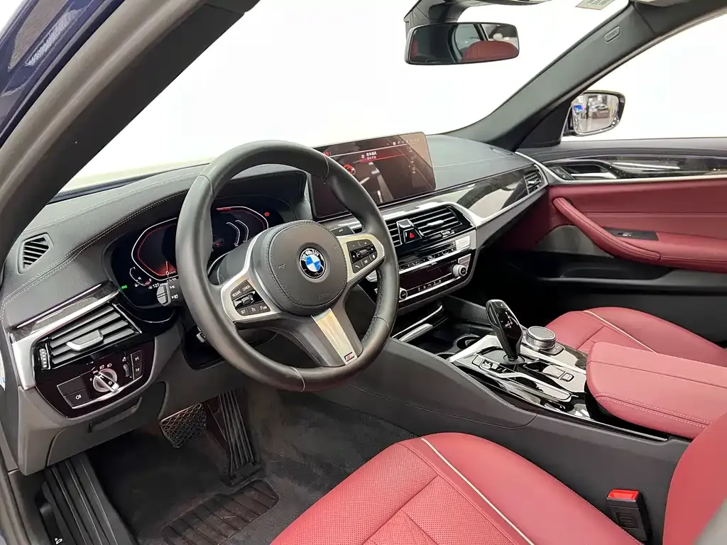 BMW 5 Series 2021 из CN, фото 4