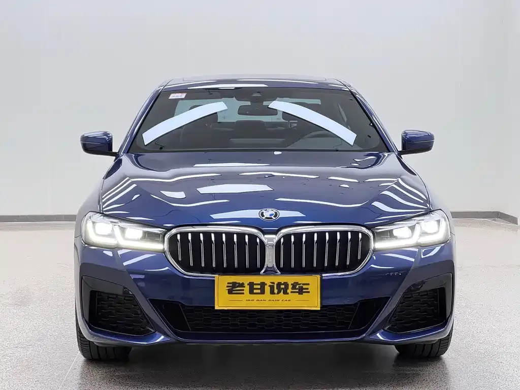 BMW 5 Series 2021 из CN, фото 8