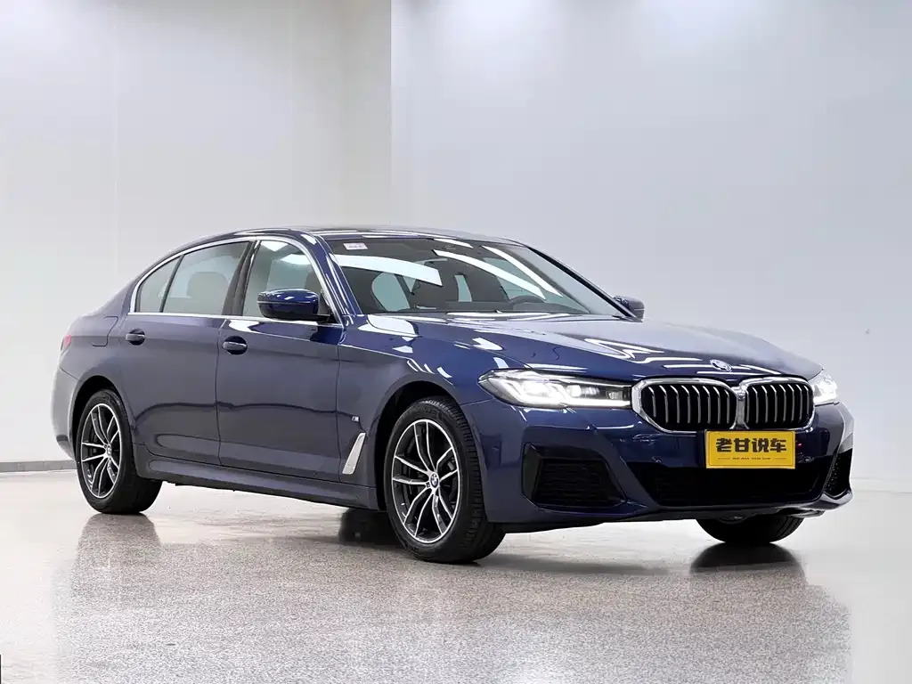 BMW 5 Series 2021 из CN, фото 7