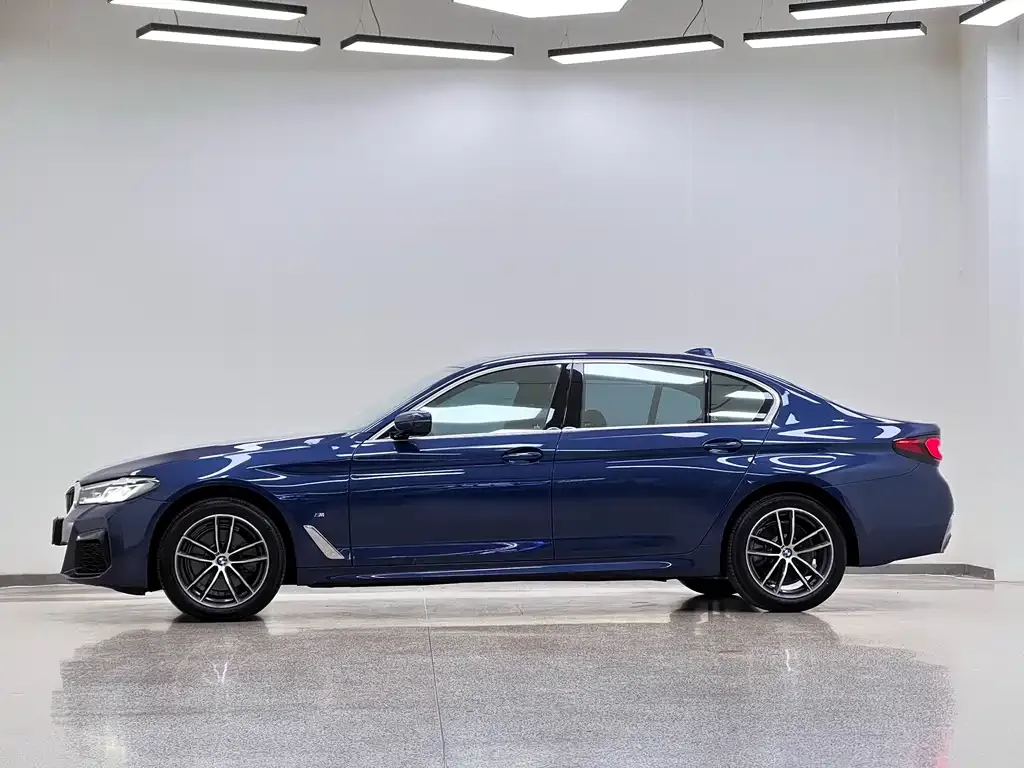 BMW 5 Series 2021 из CN, фото 6