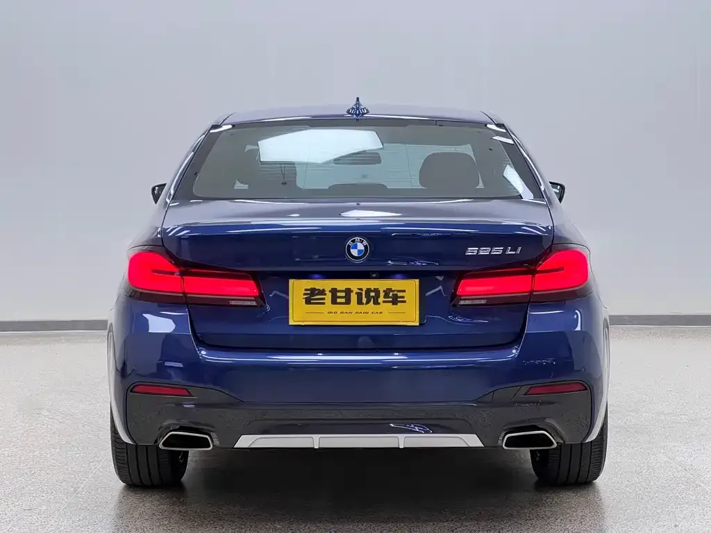 BMW 5 Series 2021 из CN, фото 5