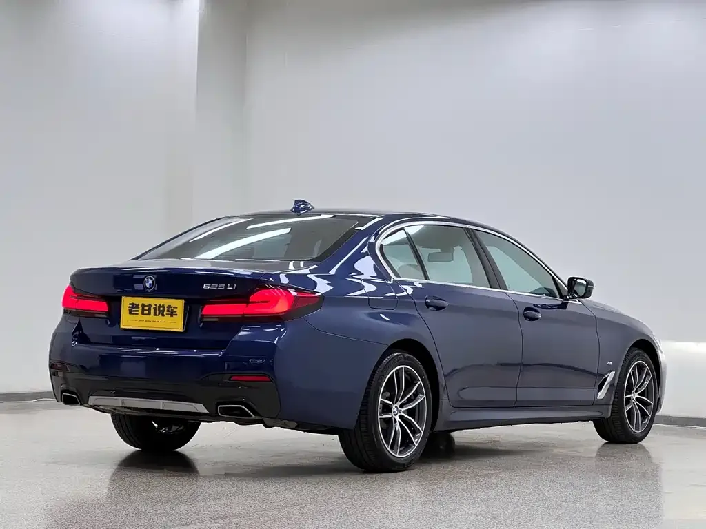 BMW 5 Series 2021 из CN, фото 3