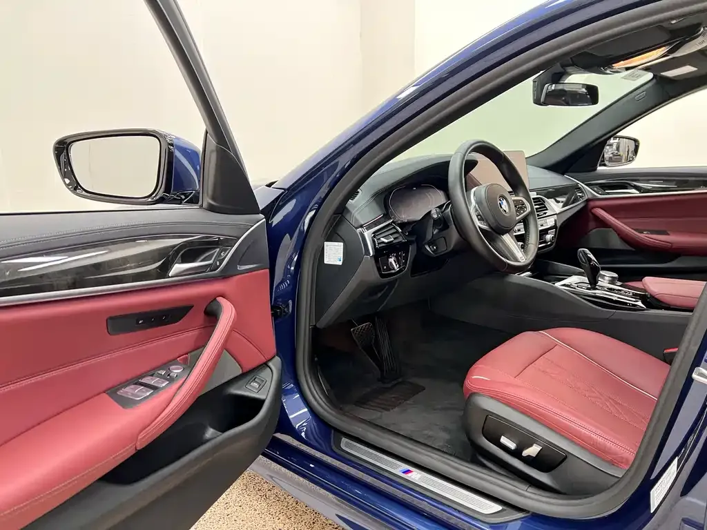 BMW 5 Series 2021 из CN, фото 9