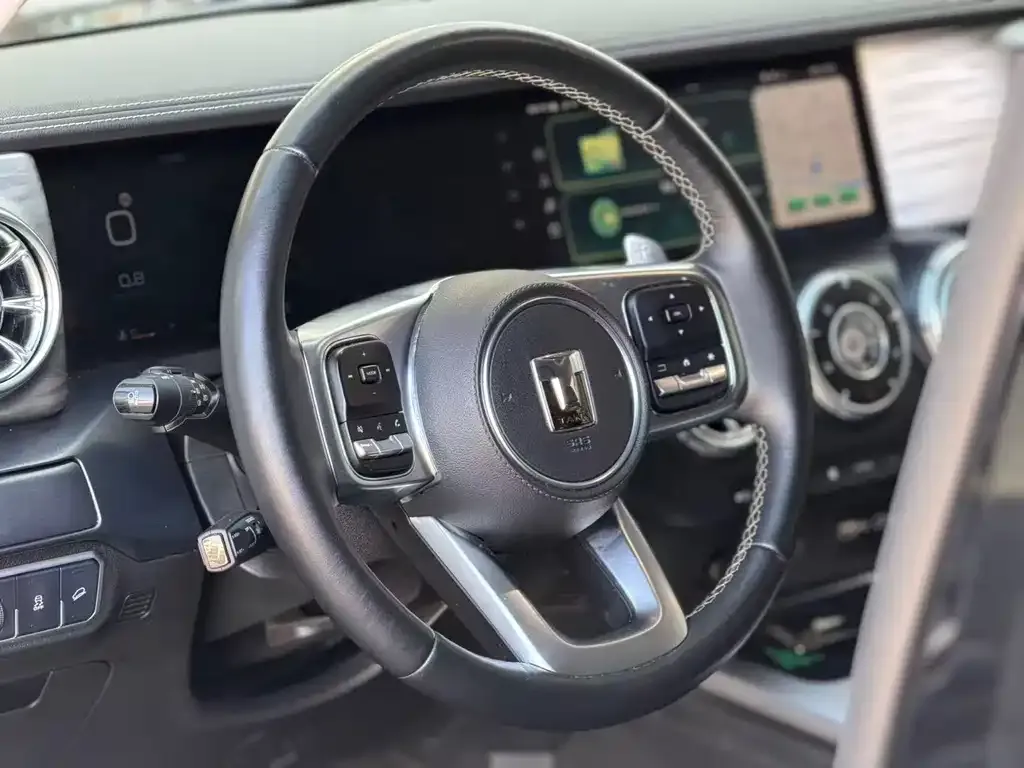 Tank 300 2023 из CN, фото 4