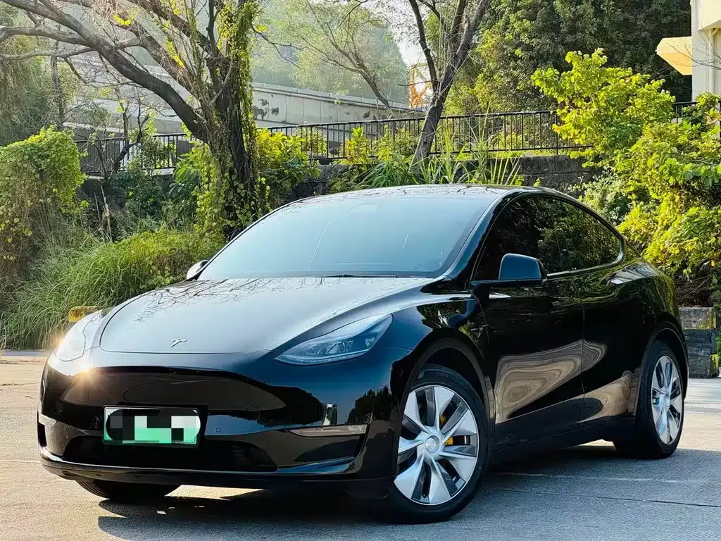 Tesla Model Y 2021 из CN, фото 1