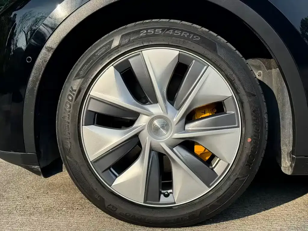 Tesla Model Y 2021 из CN, фото 4