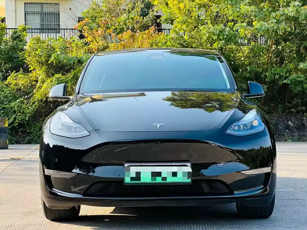 Tesla Model Y 2021 из CN, фото 7
