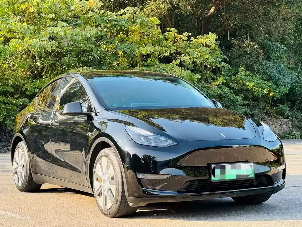 Tesla Model Y 2021 из CN, фото 8