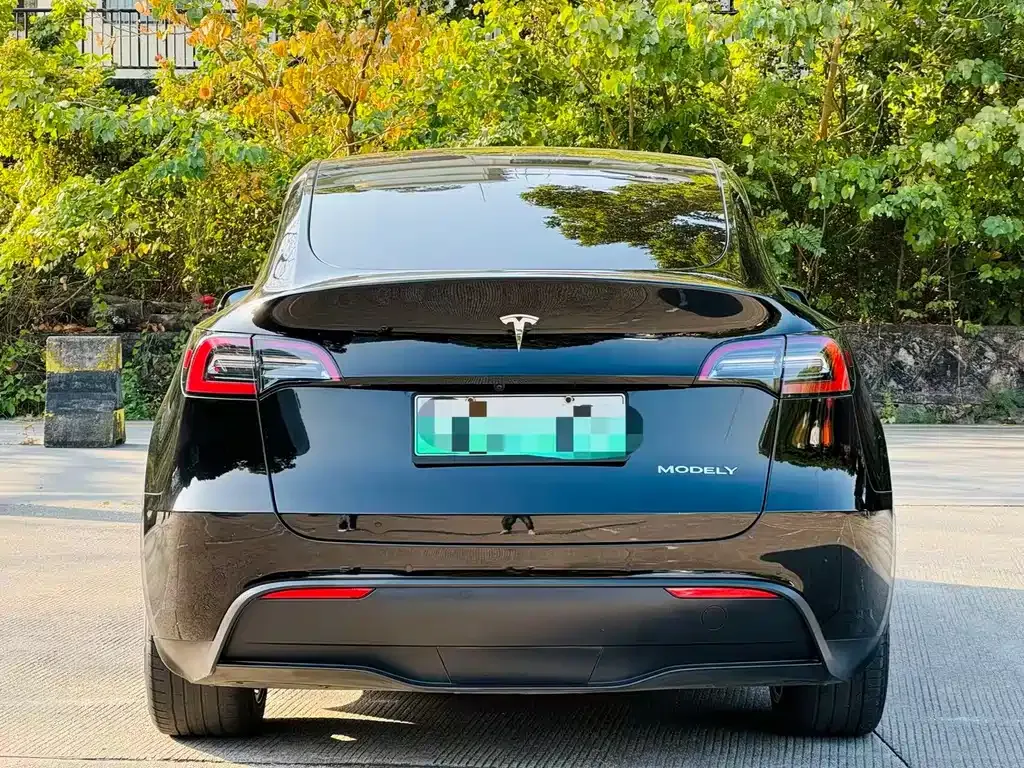 Tesla Model Y 2021 из CN, фото 6