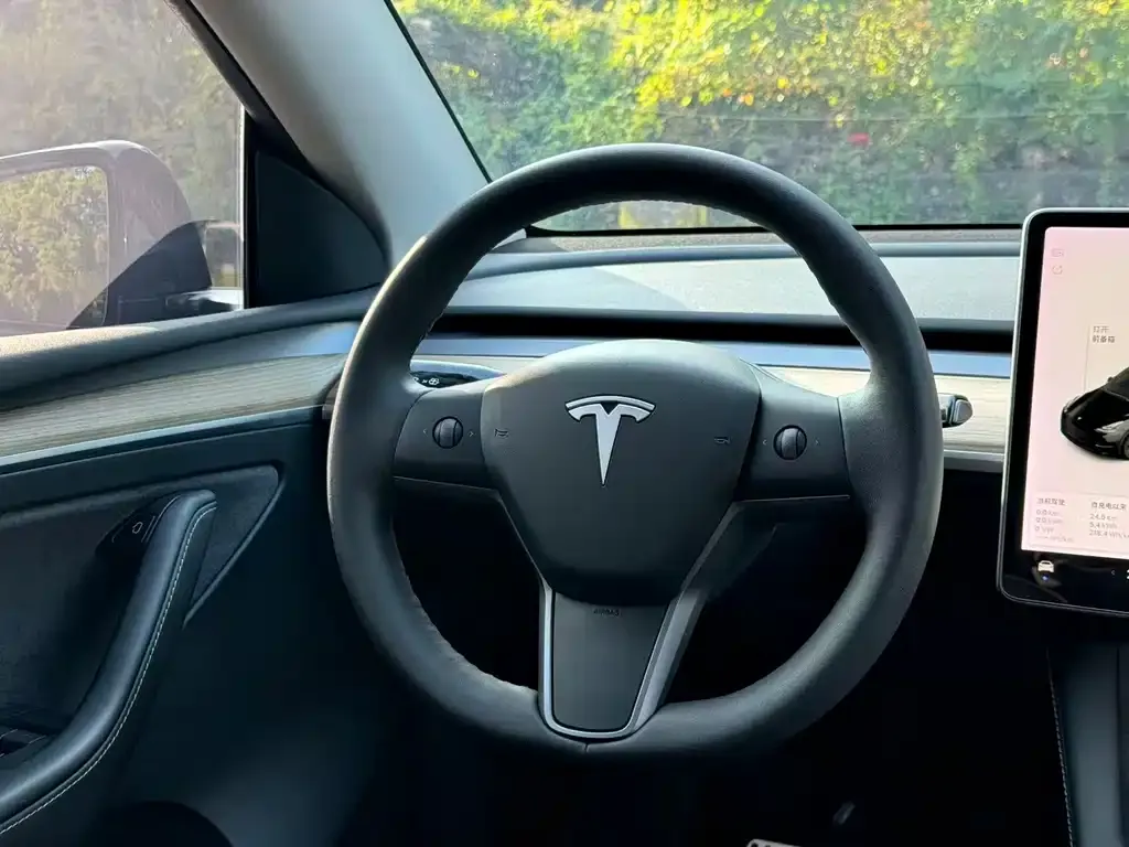 Tesla Model Y 2021 из CN, фото 3