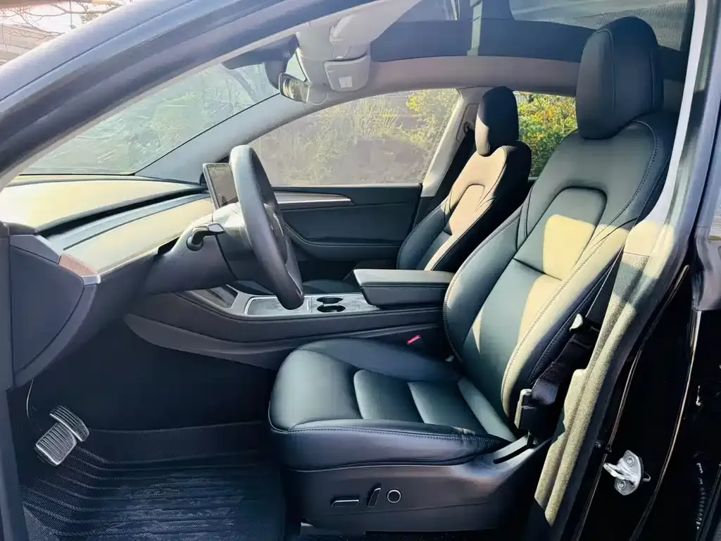 Tesla Model Y 2021 из CN, фото 10