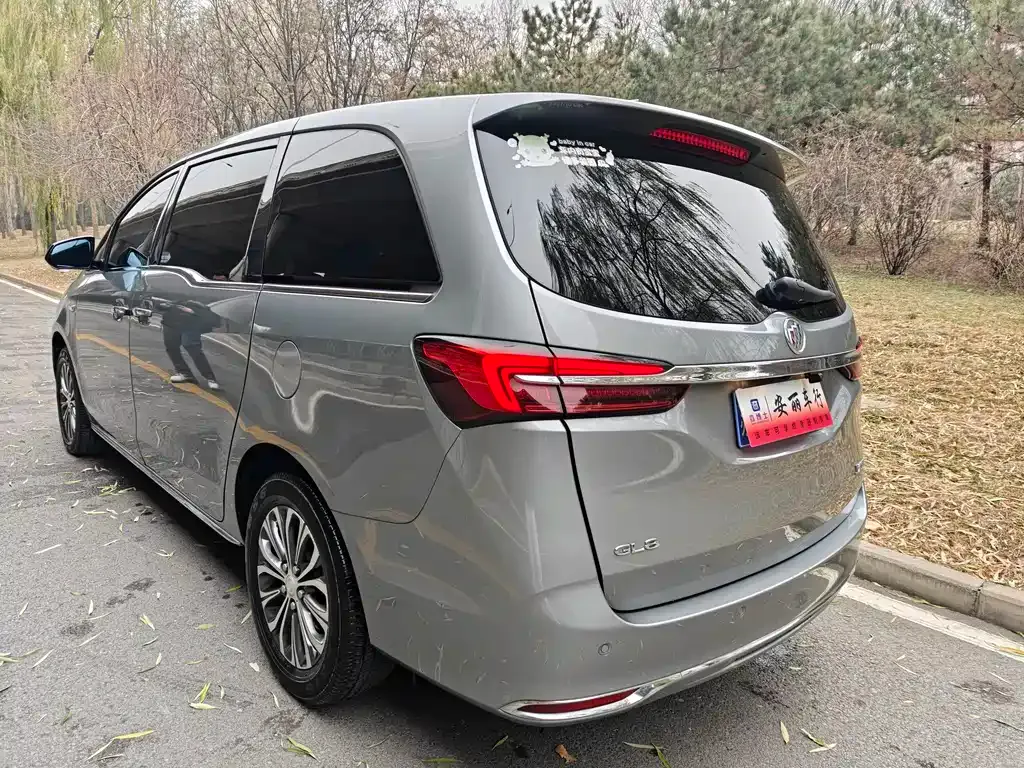 Buick GL8 2023 из CN, фото 4