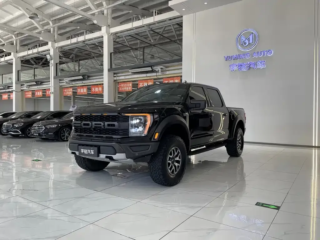 Ford F-150 Raptor — фото 1