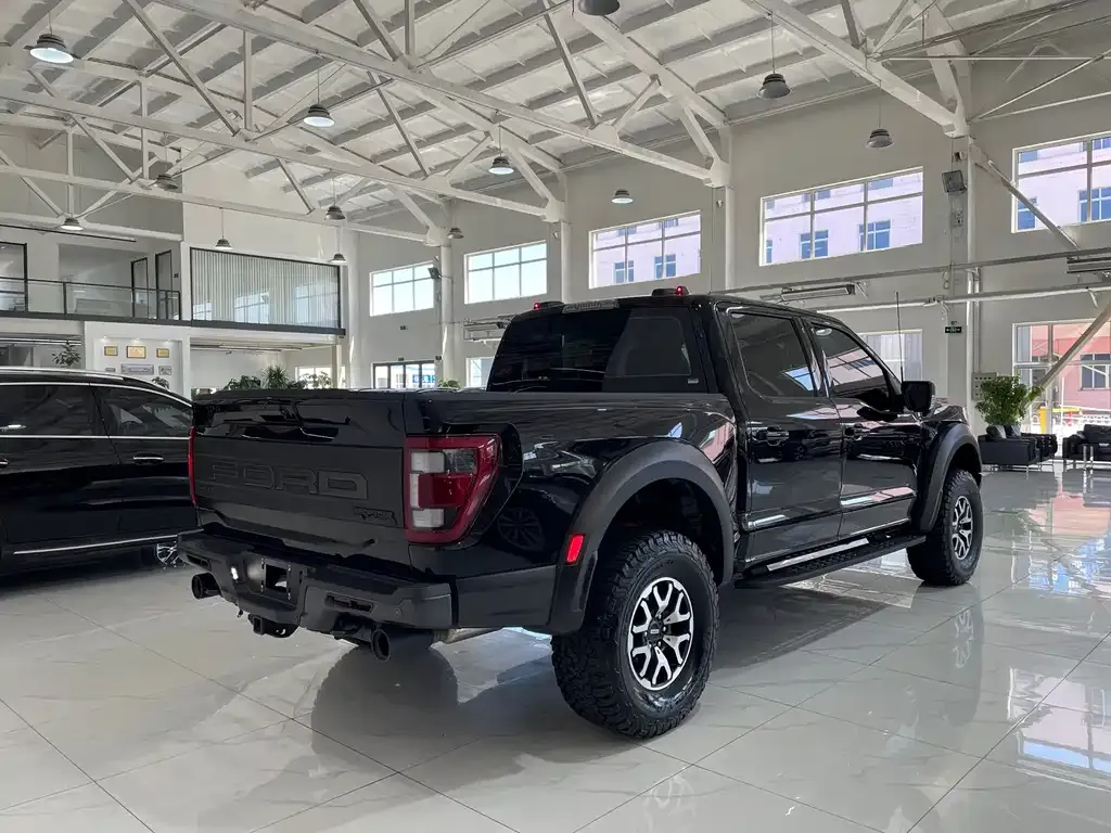 Ford F-150 Raptor — фото 8