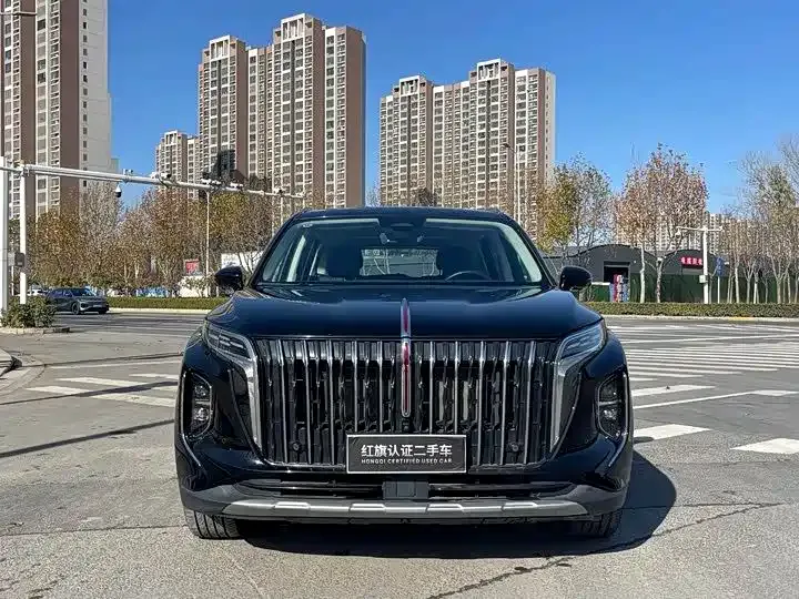 Hongqi HS7 PHEV 2024 из CN, фото 8
